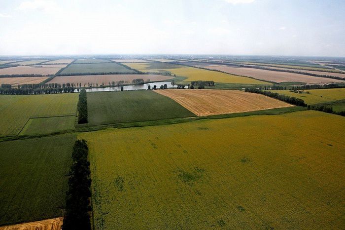 Катастрофическое падение урожайности пшеницы во франции снизило прогнозы для ес -- аналитики