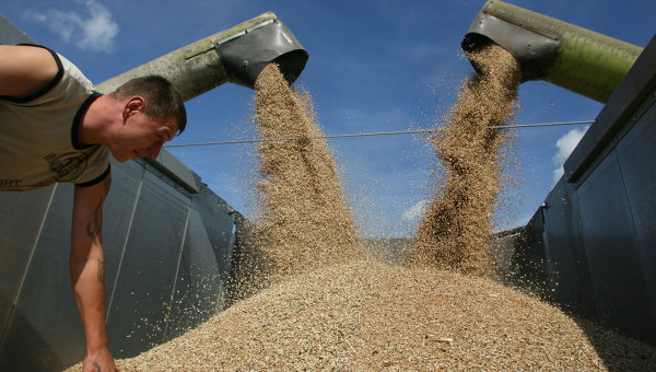 Погода, рубль сдерживают российский зерновой экспорт--совэкон